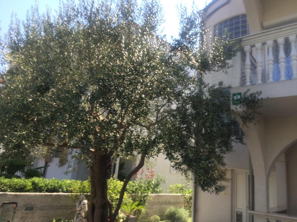 Amelia Apartment Vodice Kültér fotó